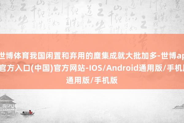 世博体育我国闲置和弃用的麇集成就大批加多-世博app官方入口(中国)官方网站-IOS/Android通用版/手机版