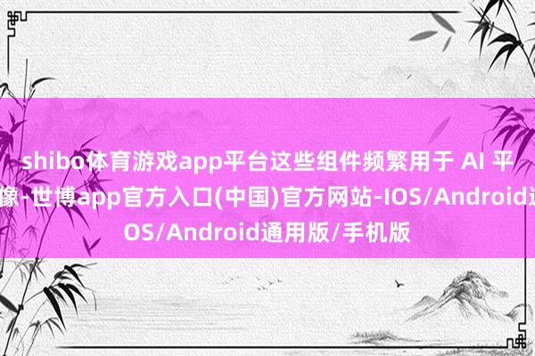 shibo体育游戏app平台这些组件频繁用于 AI 平台和捏造机映像-世博app官方入口(中国)官方网站-IOS/Android通用版/手机版