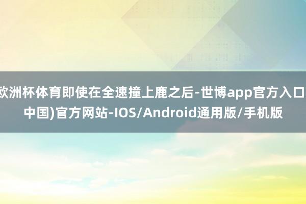 欧洲杯体育即使在全速撞上鹿之后-世博app官方入口(中国)官方网站-IOS/Android通用版/手机版