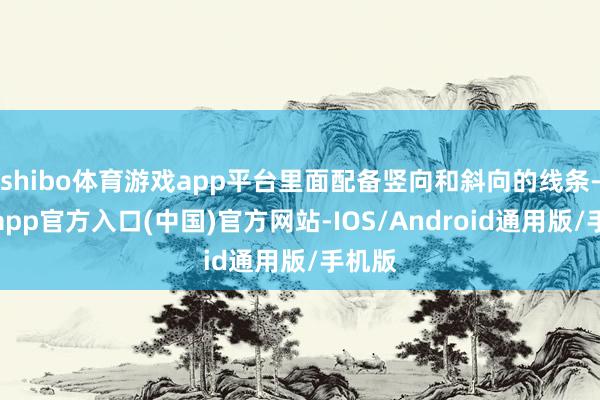 shibo体育游戏app平台里面配备竖向和斜向的线条-世博app官方入口(中国)官方网站-IOS/Android通用版/手机版