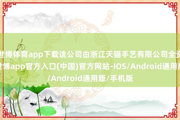 世博体育app下载该公司由浙江天猫手艺有限公司全资合手股-世博app官方入口(中国)官方网站-IOS/Android通用版/手机版