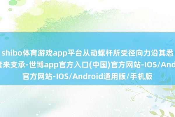 shibo体育游戏app平台从动螺杆所受径向力沿其悉数长度齐由泵缸衬套来支承-世博app官方入口(中国)官方网站-IOS/Android通用版/手机版