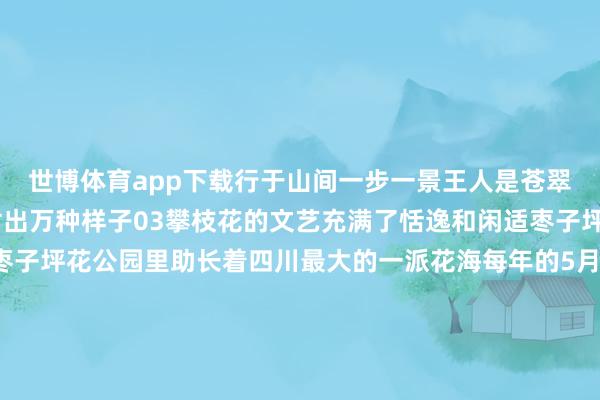 世博体育app下载行于山间一步一景王人是苍翠如玉阳光穿透水雾折射出万种样子03攀枝花的文艺充满了恬逸和闲适枣子坪花公园“视觉盛宴”枣子坪花公园里助长着四川最大的一派花海每年的5月上旬运行花便成片成片的挂上枝端将这里装点成一派红色的海洋叶片如飞凰的羽毛花朵似丹凤的冠冕瞭望时仿佛看到涅槃荣达站在较高的处所不错望见江对面的城区山上花开随地红与山下的树山鸣谷应奏响了一场视觉与感觉的双重盛宴攀枝花公园“当地