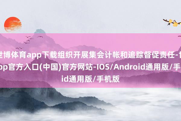 世博体育app下载组织开展集会计帐和追踪督促责任-世博app官方入口(中国)官方网站-IOS/Android通用版/手机版