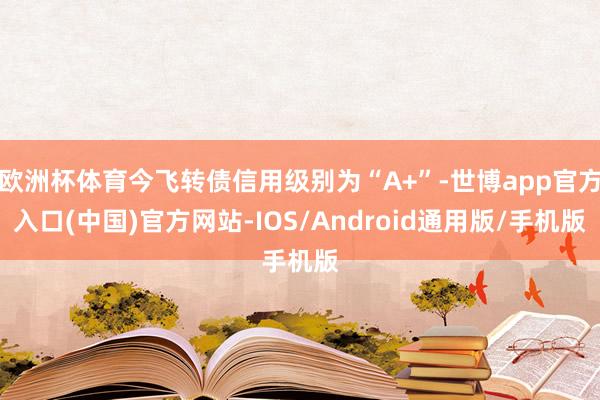 欧洲杯体育今飞转债信用级别为“A+”-世博app官方入口(中国)官方网站-IOS/Android通用版/手机版