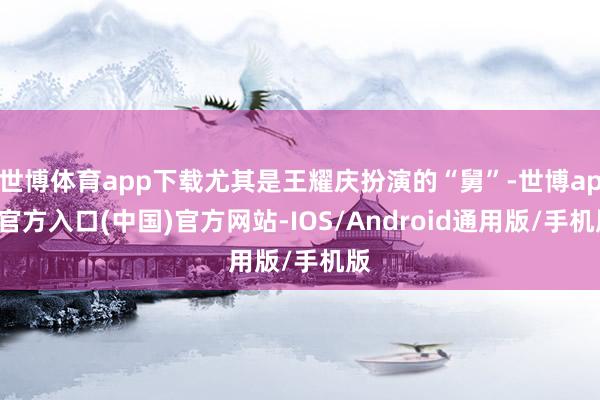 世博体育app下载尤其是王耀庆扮演的“舅”-世博app官方入口(中国)官方网站-IOS/Android通用版/手机版