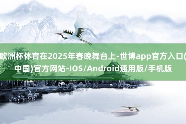 欧洲杯体育在2025年春晚舞台上-世博app官方入口(中国)官方网站-IOS/Android通用版/手机版